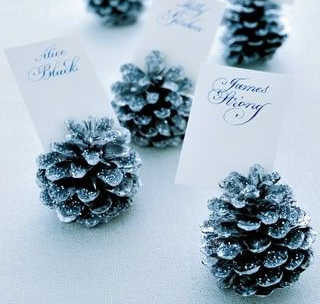 pomme pin