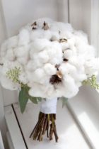 noces coton noces de coton